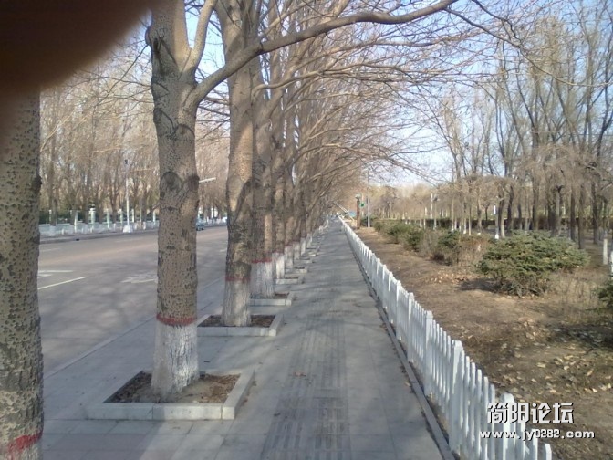 conew_conew_20120426077.jpg
