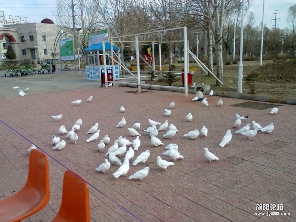 conew_20120426057.jpg