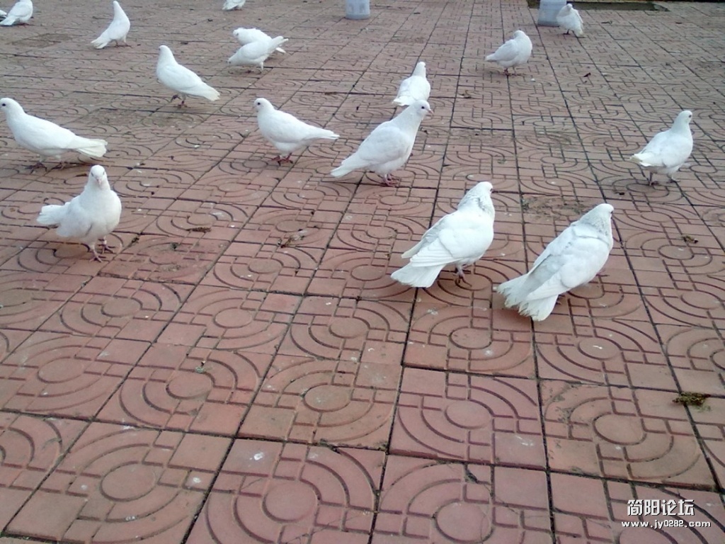 conew_20120426058.jpg