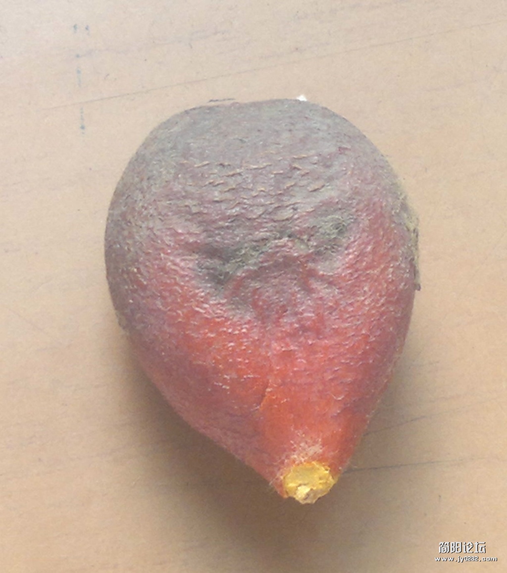 2012-04-27-101_1.jpg