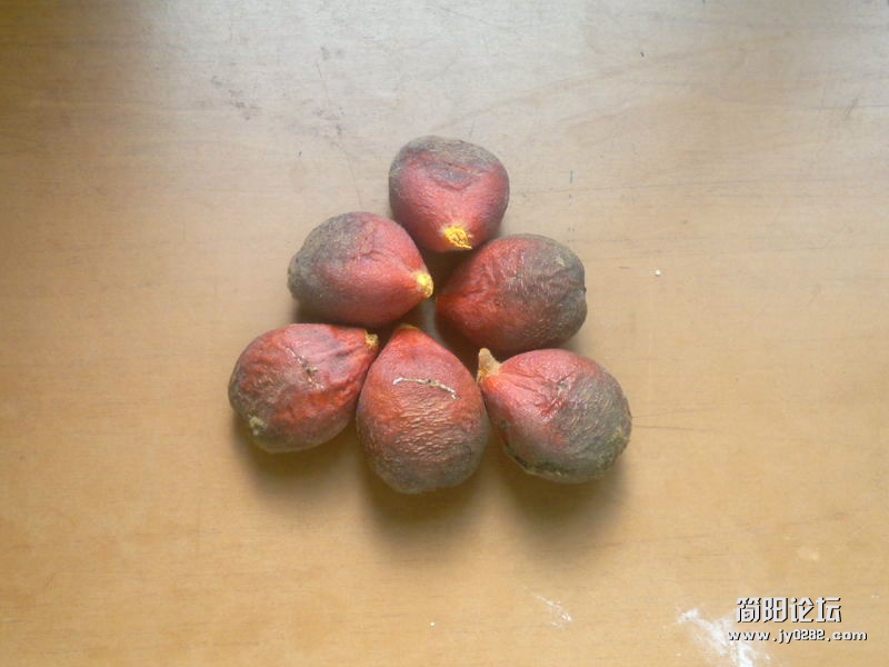 2012-04-27-100_2.jpg