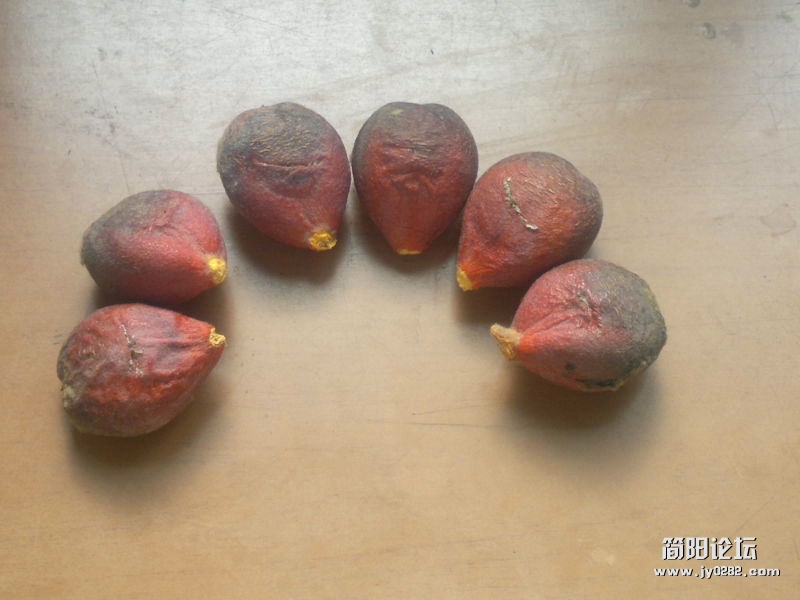 2012-04-27-099_2.jpg