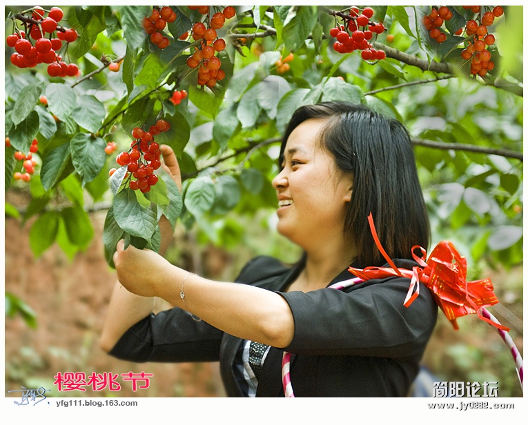 樱桃节——18 副本副本.jpg