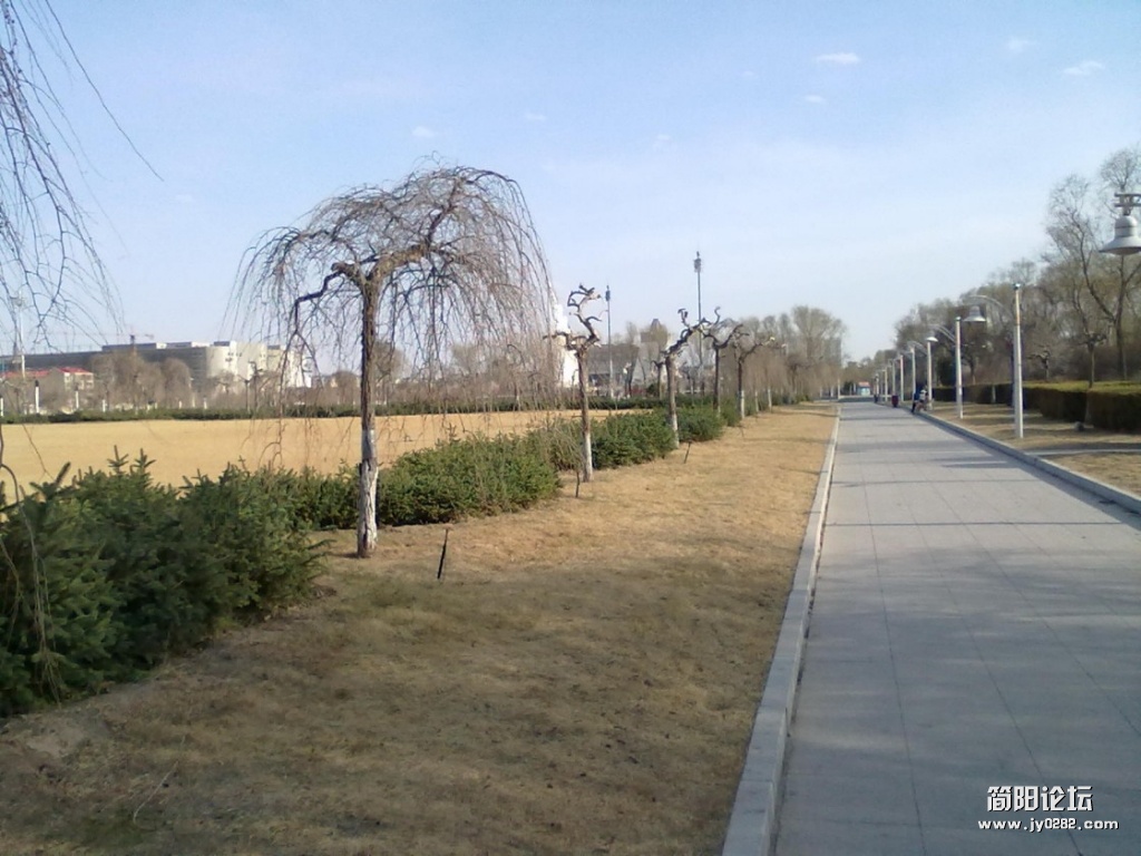 conew_20120426080.jpg
