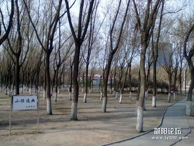 conew_conew_20120426073.jpg