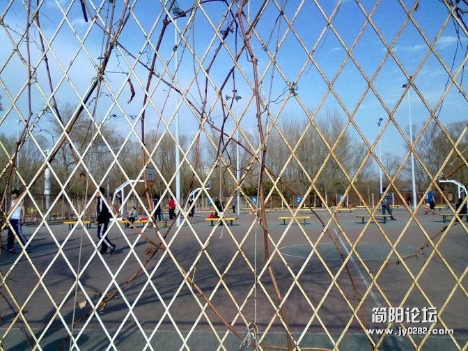 conew_conew_20120426075.jpg