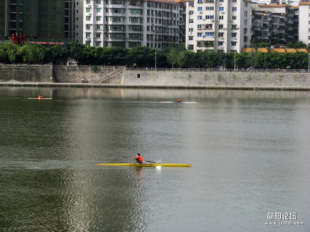 IMG_8616.jpg