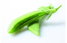 wandou-003.jpg