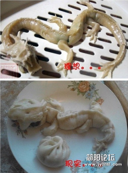 哈哈，这就是理想与现实啊！太逗了！！.jpg