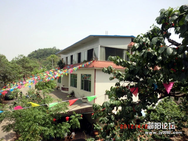 樱桃27.jpg