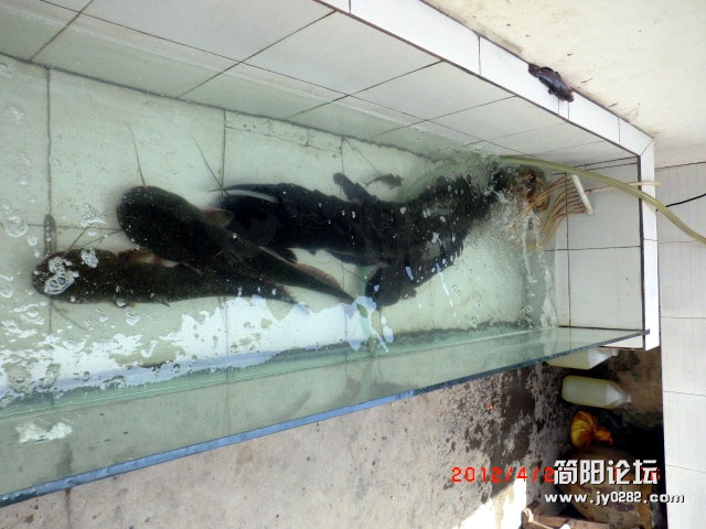 樱桃沟25.jpg