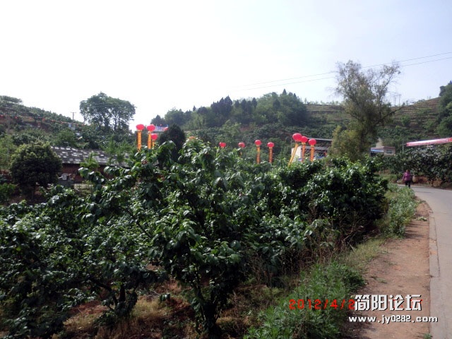 樱桃沟.5.jpg