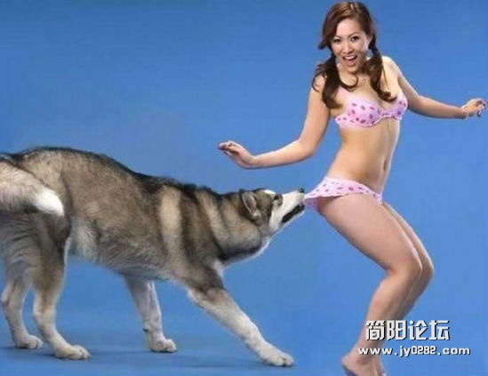 那些天生好色的禽兽071934fa6cndf44485azo5.jpg