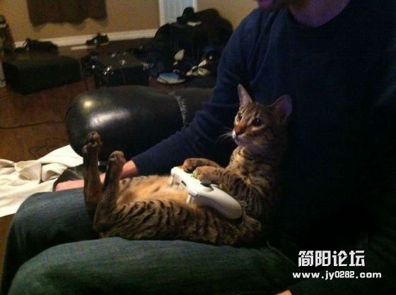 那些天生好色的禽兽0727012nbn8bk8hbhncxdn.jpg