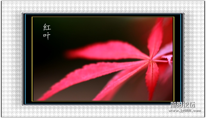 红叶-2-有字-wl.jpg