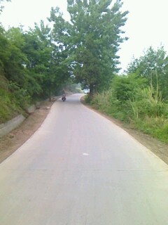 IMG0430085301.jpg