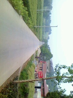 IMG0430085501.jpg