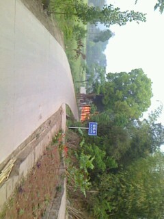 IMG0430084700.jpg