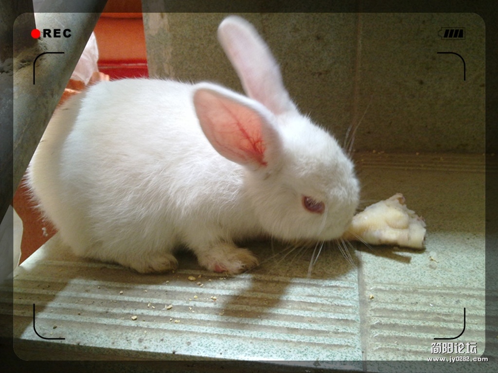 20120502491_副本.jpg