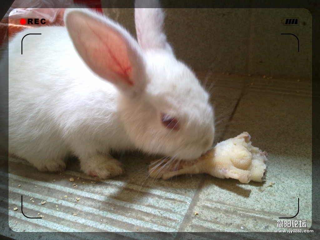 20120502493_副本.jpg