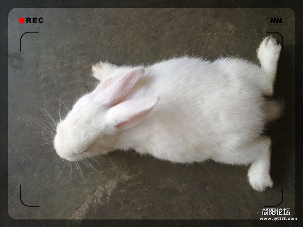 20120502497_副本.jpg