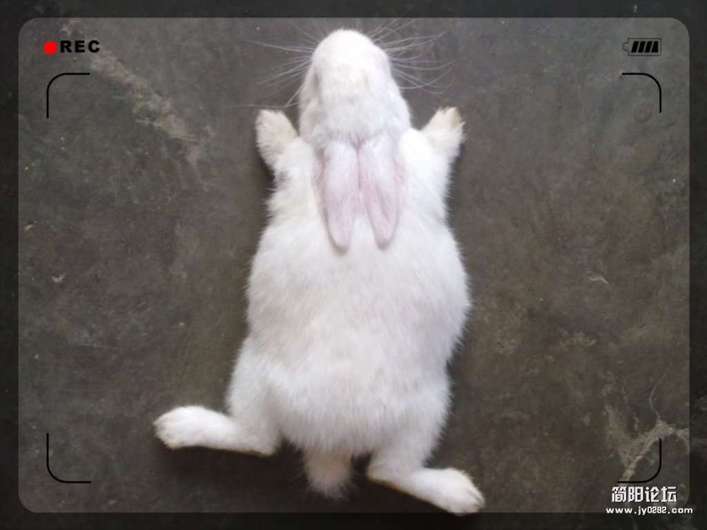 20120502498_副本.jpg