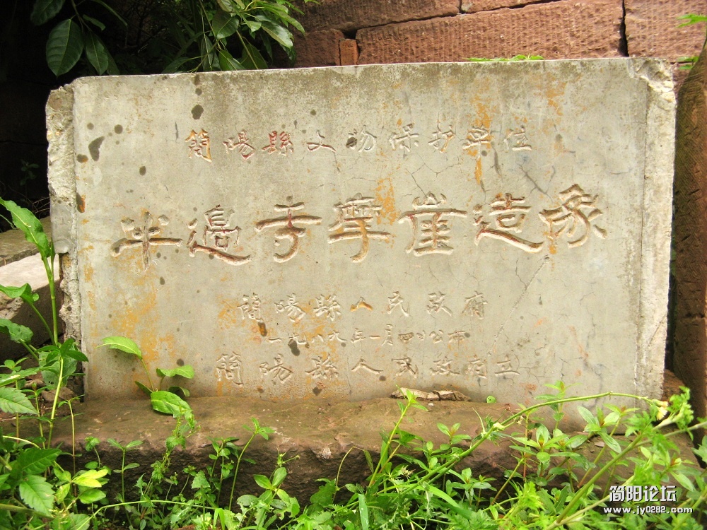 IMG_8716.jpg