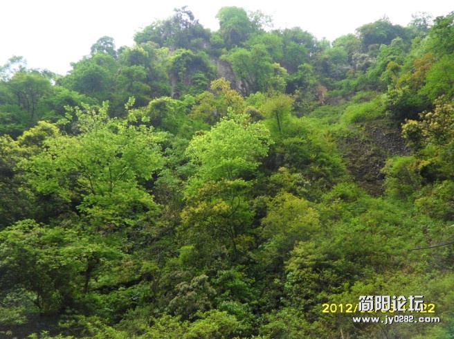 清脆