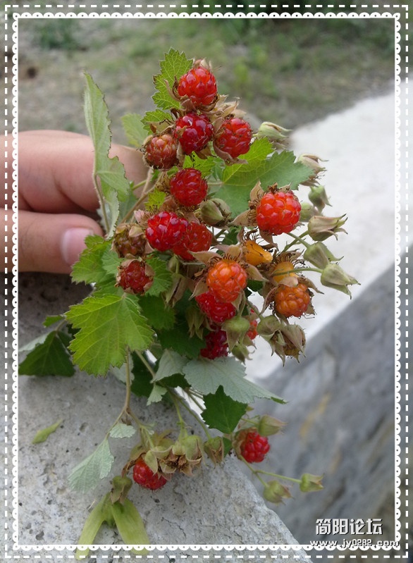 20120509536_副本.jpg