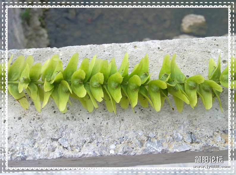 20120509534_副本.jpg