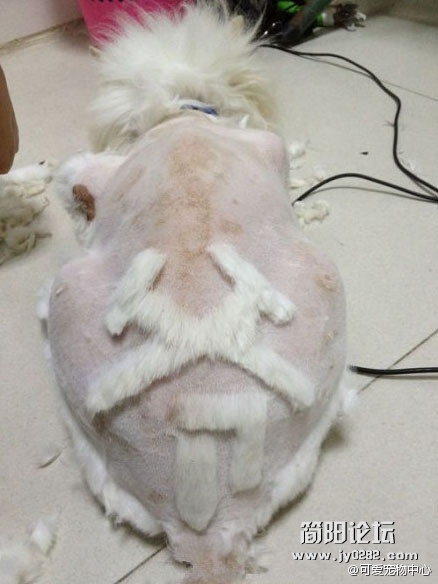 这又是一个二货主银！.jpg