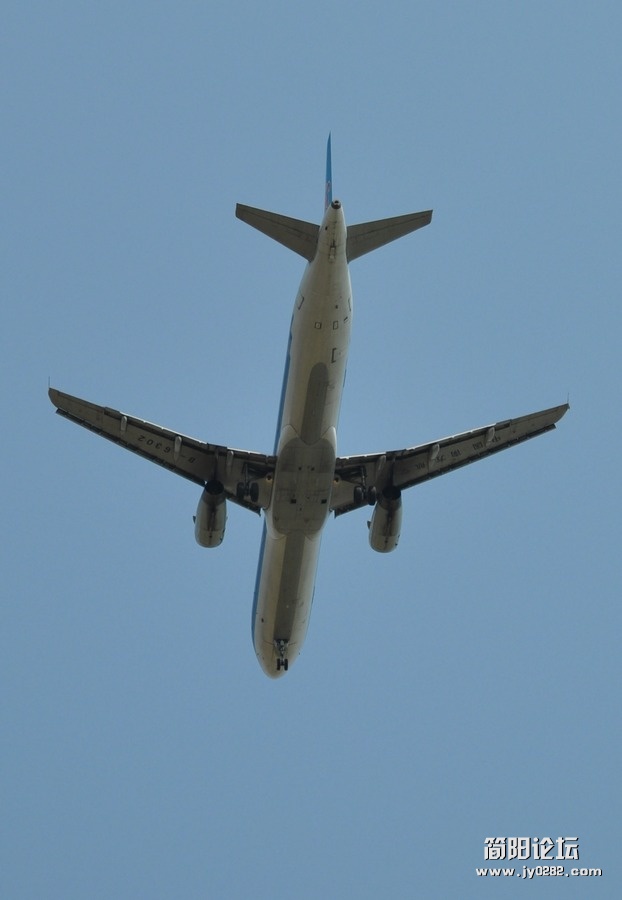 DSC_0333.jpg