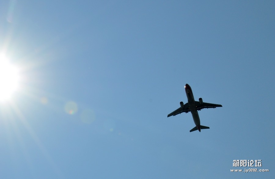 DSC_0346.jpg