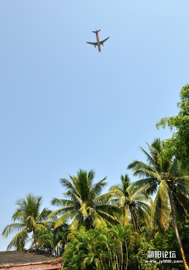 DSC_0347.jpg