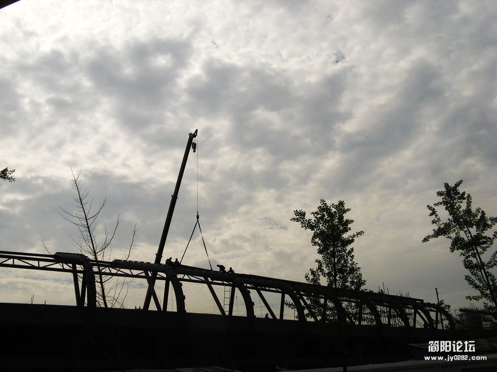 IMG_8783.jpg