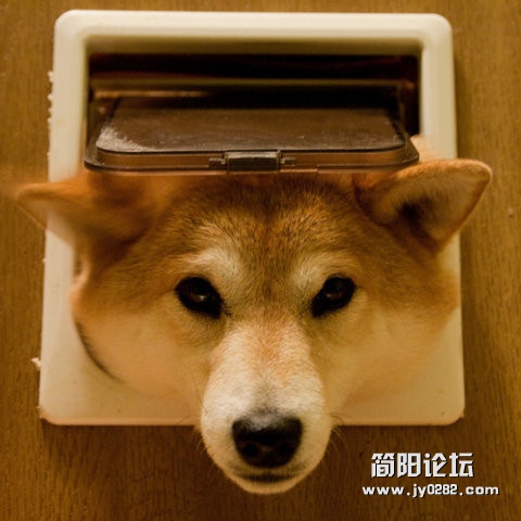 dw (26).jpg