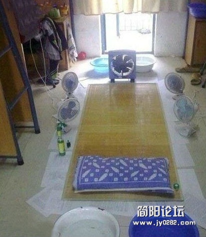 夏天到了，想不凉快都难！.jpg