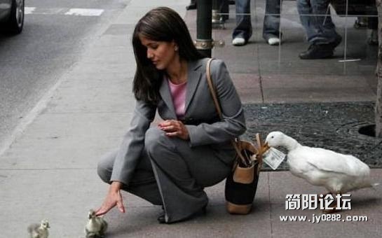 亮点太多让人崩溃o201212112204714f9f649f21e5f.jpg