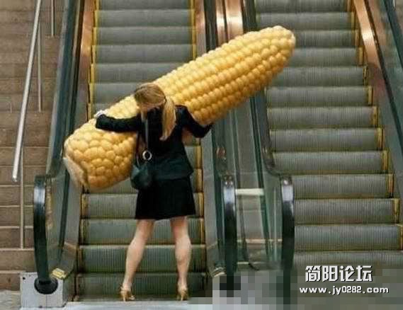 你妹啊！有这么大的玉米吗？_副本.jpg