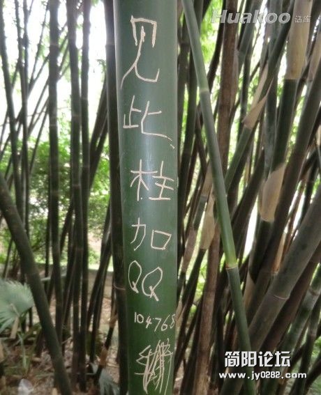 这图雷得天崩地裂啊005_e47ee99442d2ecf09da14718d65f7aa7.jpg