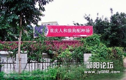 重庆人好猛啊，还兴和狼狗配种啊.jpg