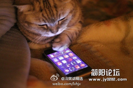 现在还能脱口念出父母手机号码的请转发。。。.jpg