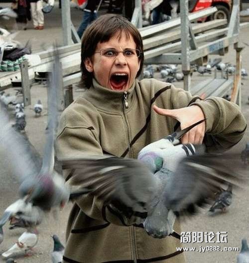 张张有亮点o201213407545614fb049d0068fb.jpg