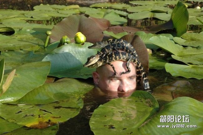 有些人就是那么与众不同20120428111531985.jpg
