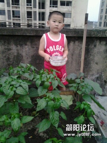 IMG20120519195904.jpg
