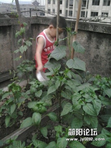 IMG20120519195955.jpg