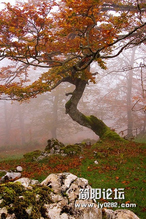 fjt (36).jpg
