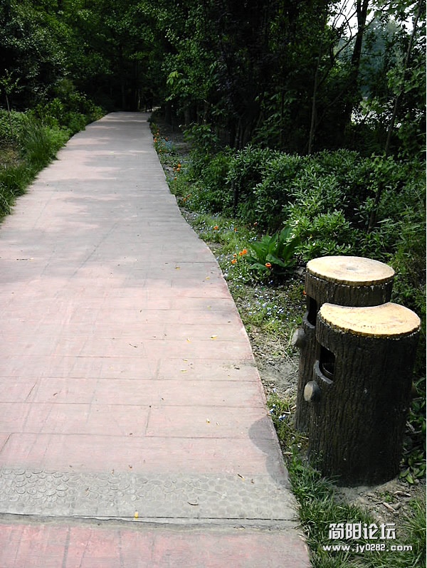 IMG_20120429_135016.jpg