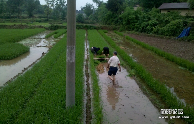 2012-05-23_10-12-06_990.jpg