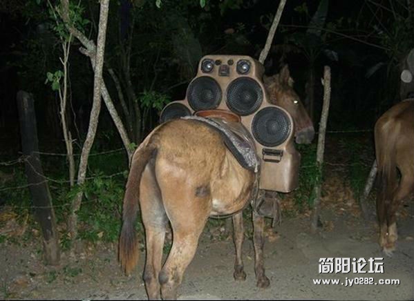 动手能力强的人们你伤不起 (4).jpg